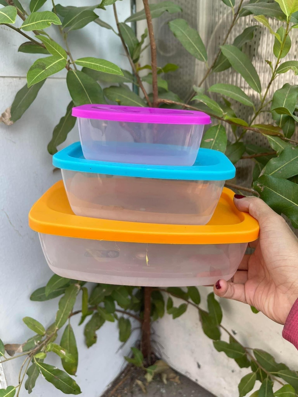 Bộ 3 hộp nhựa nhiều màu ấn độ an toàn trong lò vi sóng