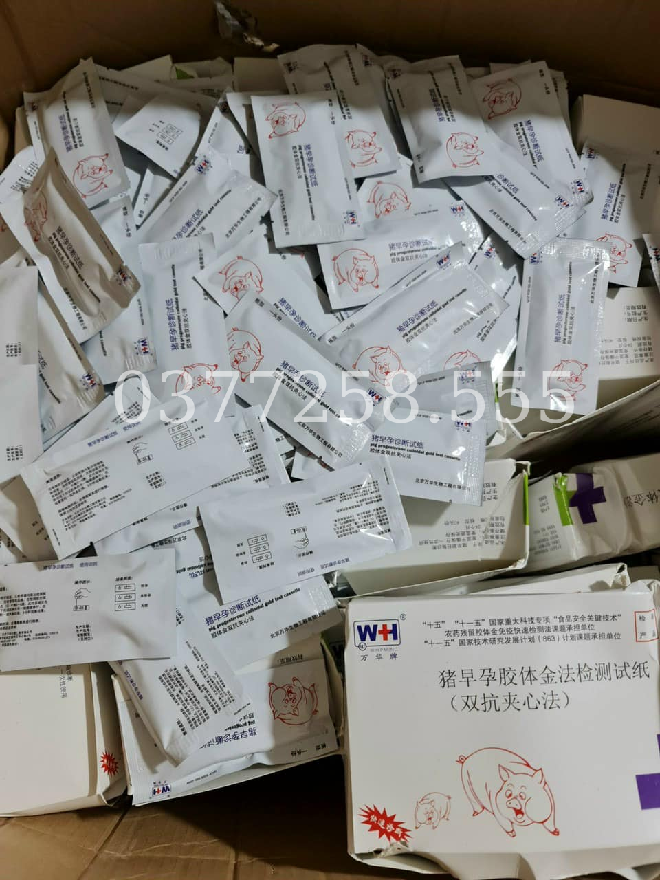 Sản phẩm que thử thai cho lợn độ chính xác lên tưới 90%tỉ lệ chuẩn cao cho heo nái