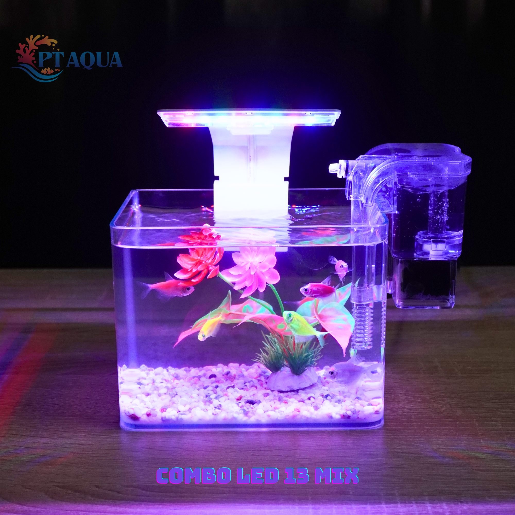 Bể cá mini Đúc 20x14x16cm để bàn với nhiều mẫu combo có kèm phụ kiện trang trí