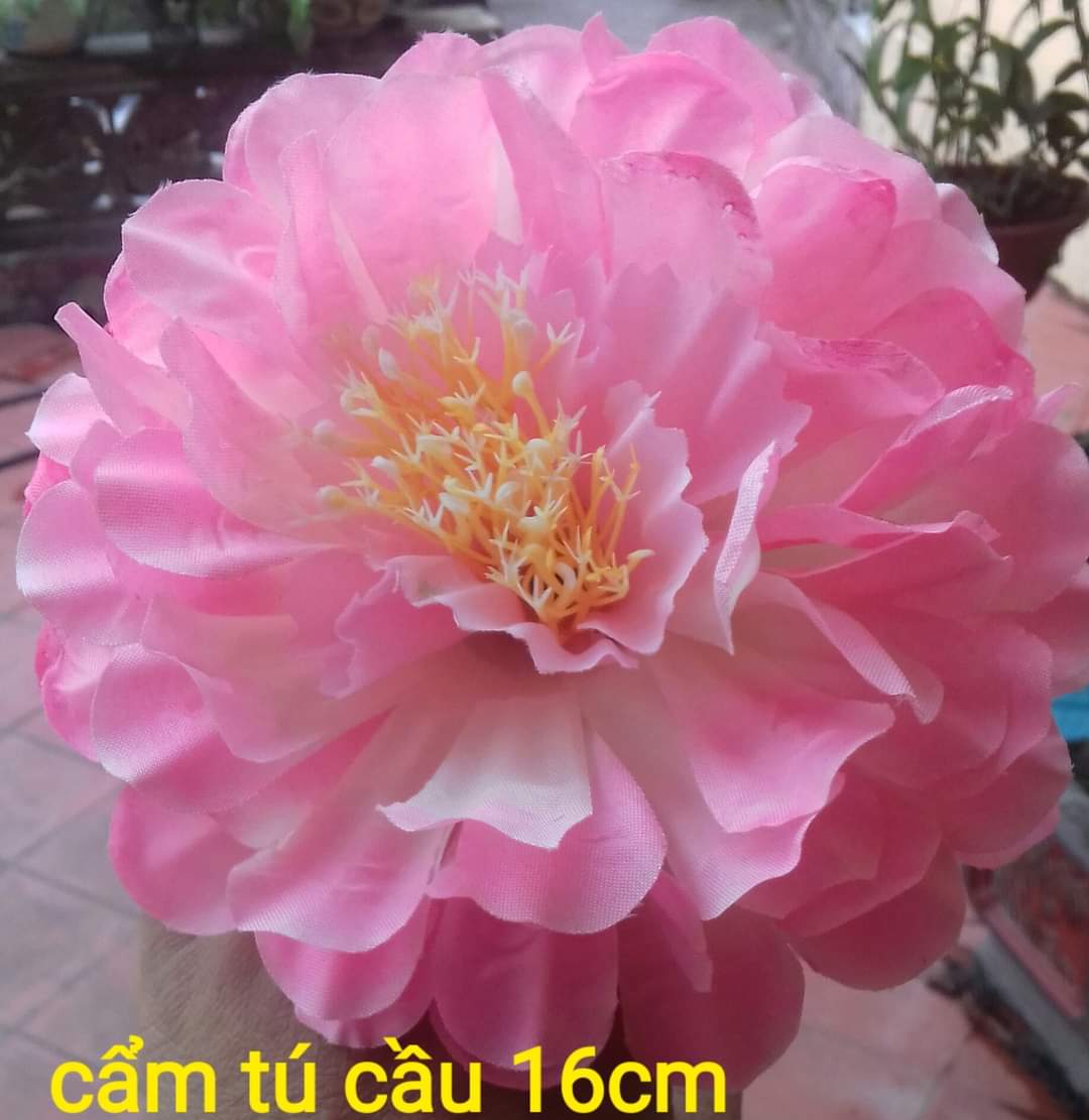 Hoa múa cẩm tú cầu bằng lụa có đính thun