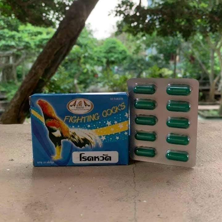 Figthing cock chính hãng thái lan Gà khò khẹc - phân xanh , xổ mũi
