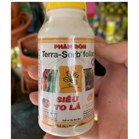 Terra sorb foliar – siêu to lá