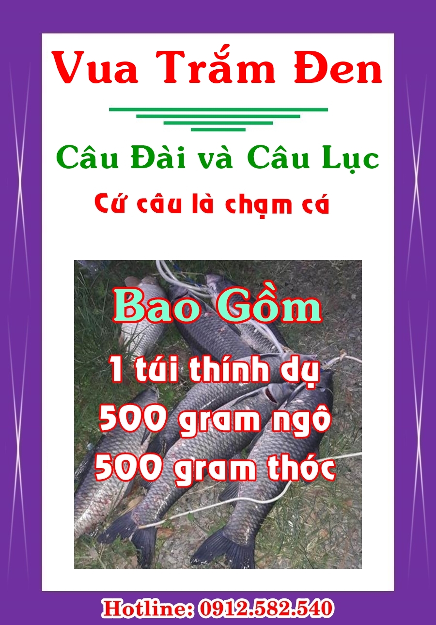 Mồi câu cá trắm đen. Câu đài và câu lục. Gồm 1 túi thính dụ, 500 gram ngô hạt và 500 gram thóc thơm