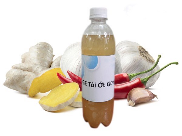 GE sinh học tỏi ớt gừng cho hoa hồng - Liều lượng sử dụng 1 tháng - An toàn - Thân thiện với môi trường