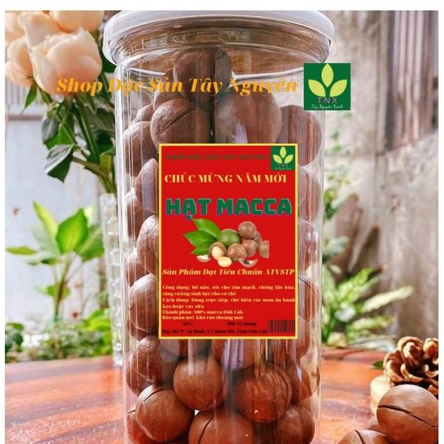 Hạt Macca Đăk Lăk, Thơm ngon, Sấy Chín, có chứng nhận ATVSTP, Hộp cao cấp 500gr