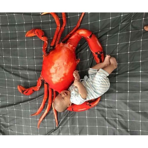 GẤU BÔNG HÌNH CUA ĐỎ 3D SIÊU TO SIZE 80CM