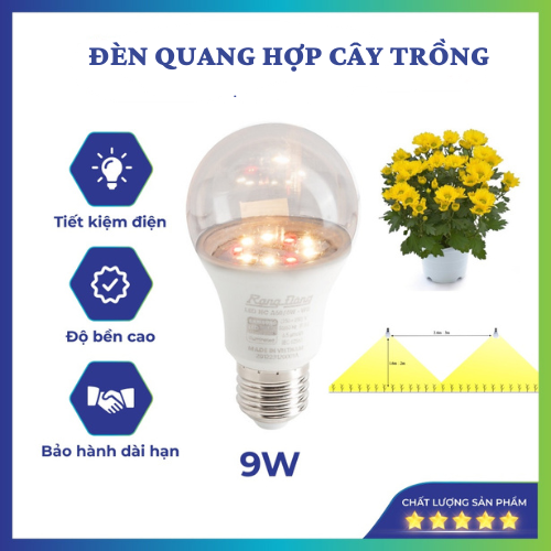 Đèn led trồng hoa cúc 9w rạng đông model: led hc a60/9w 3000k