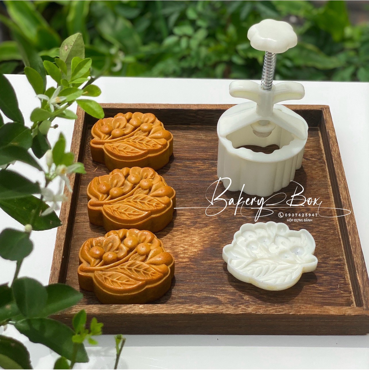 Khuôn trung thu lò xo hoa lê ~ mai tứ quý 150gr