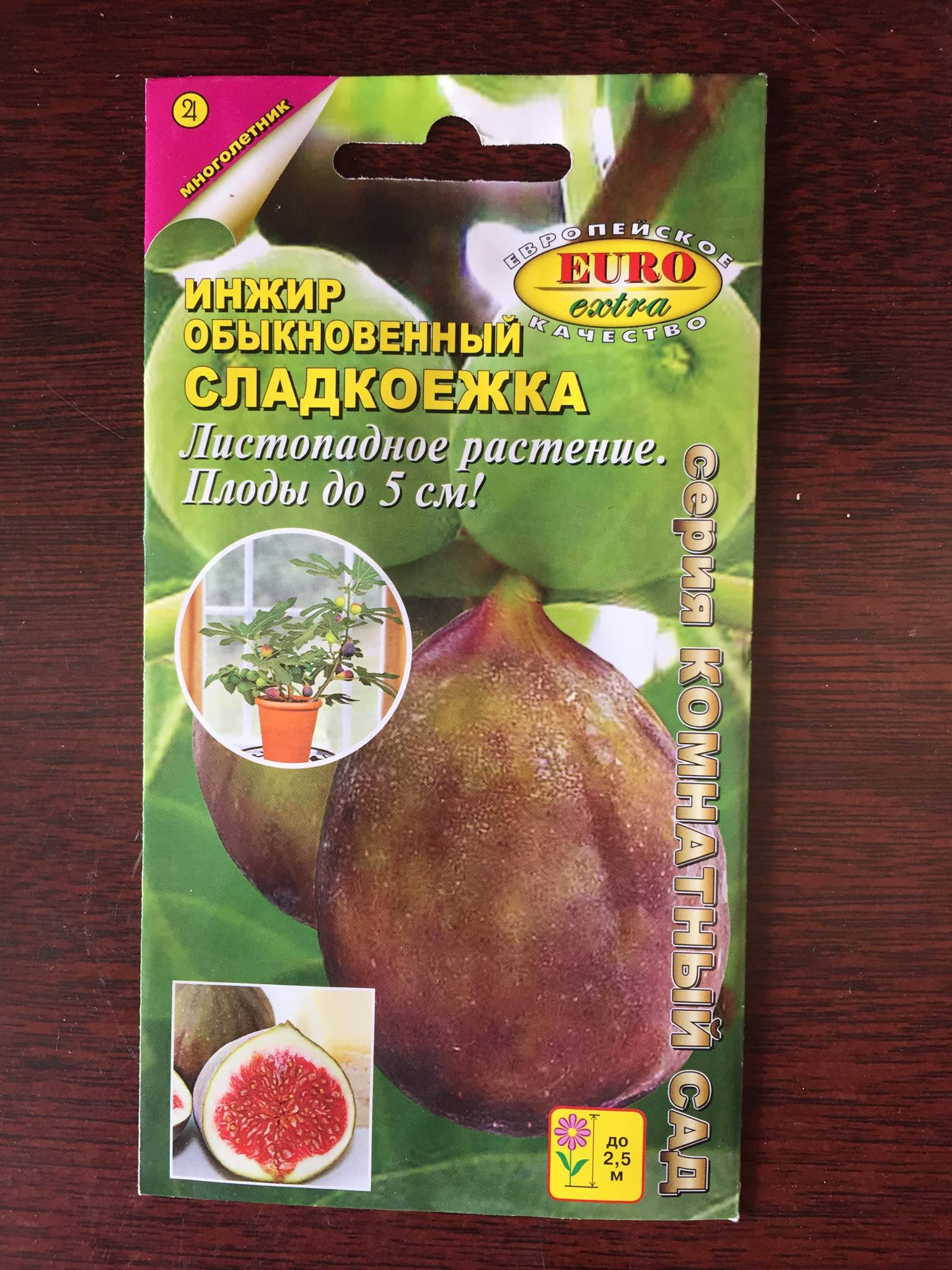 Hạt giống sung mỹ nhập khẩu nga