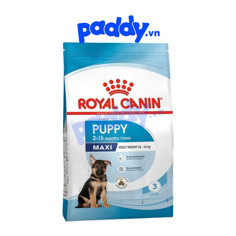 Hạt cho chó con size lớn royal canin maxi puppy