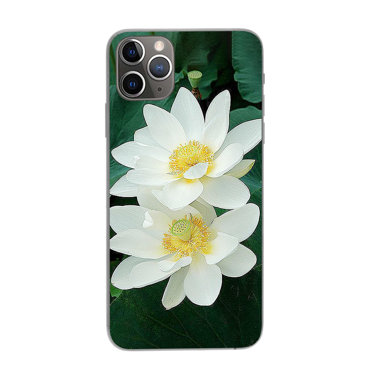 Ốp lưng dành cho điện thoại iPhone 11 Pro, 11 Pro Max in họa tiết Hai bông hoa sen trắng