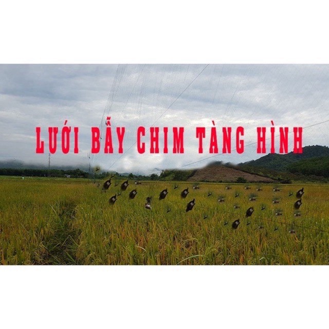 lưới bẫy chim 7cm cao 7m dài 60m bắt chim cu gáy cò + vạc v.v. các loại chim to hàng gia công ( sale xả hàng )