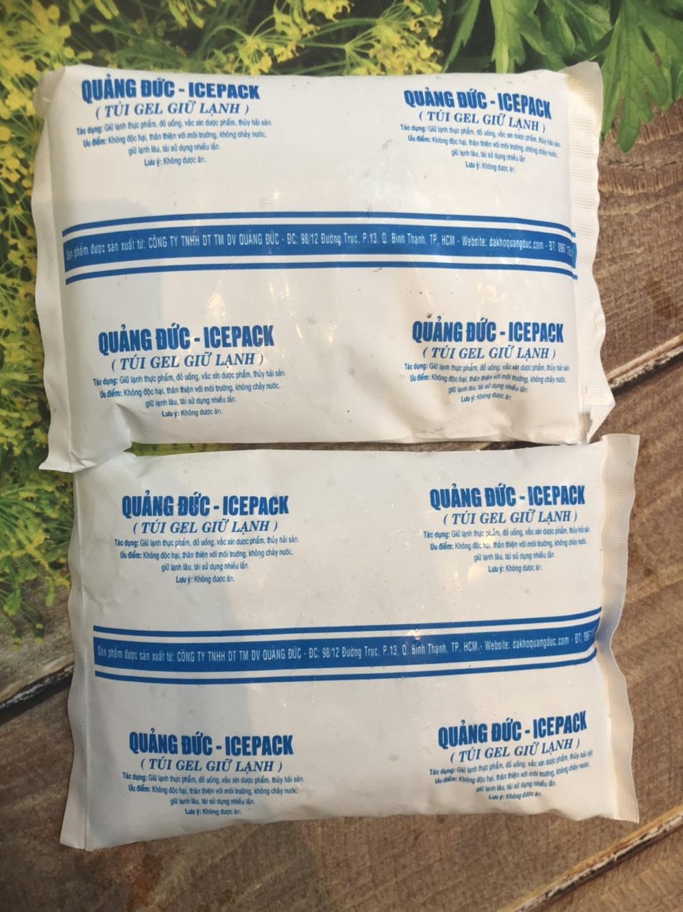 Combo 5 gói Đá gel giữ lạnh thực phẩm tươi sống, mỗi gói 500g_minhnhatfood