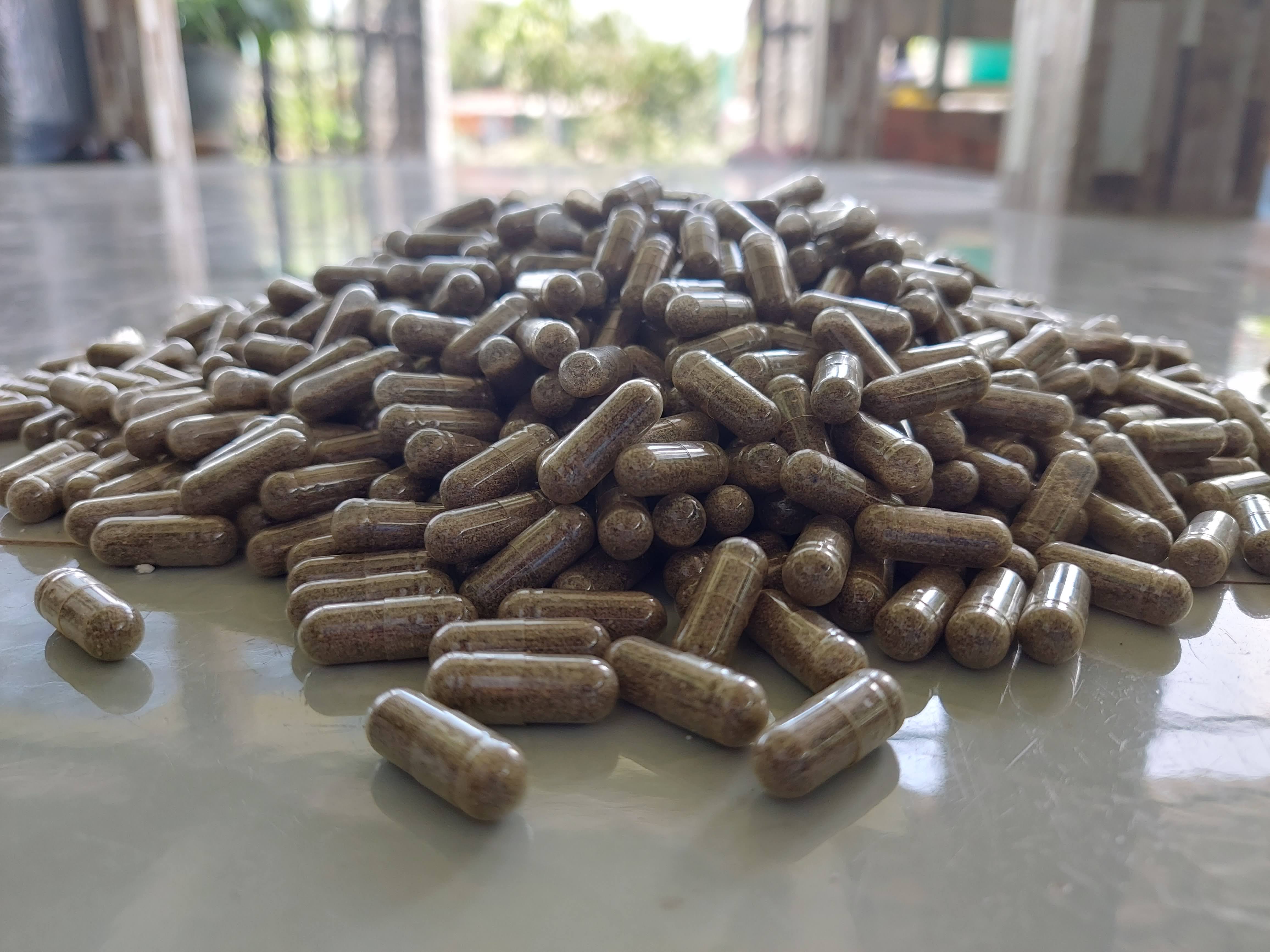 Artemia nước ngọt combo 10 viên