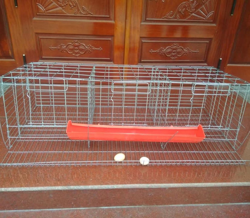 CHUỒNG NUÔI GÀ ĐẺ TRỨNG KÈM MÁNG ĂN-LỒNG NUÔI GÀ CÔNG NGHIỆP