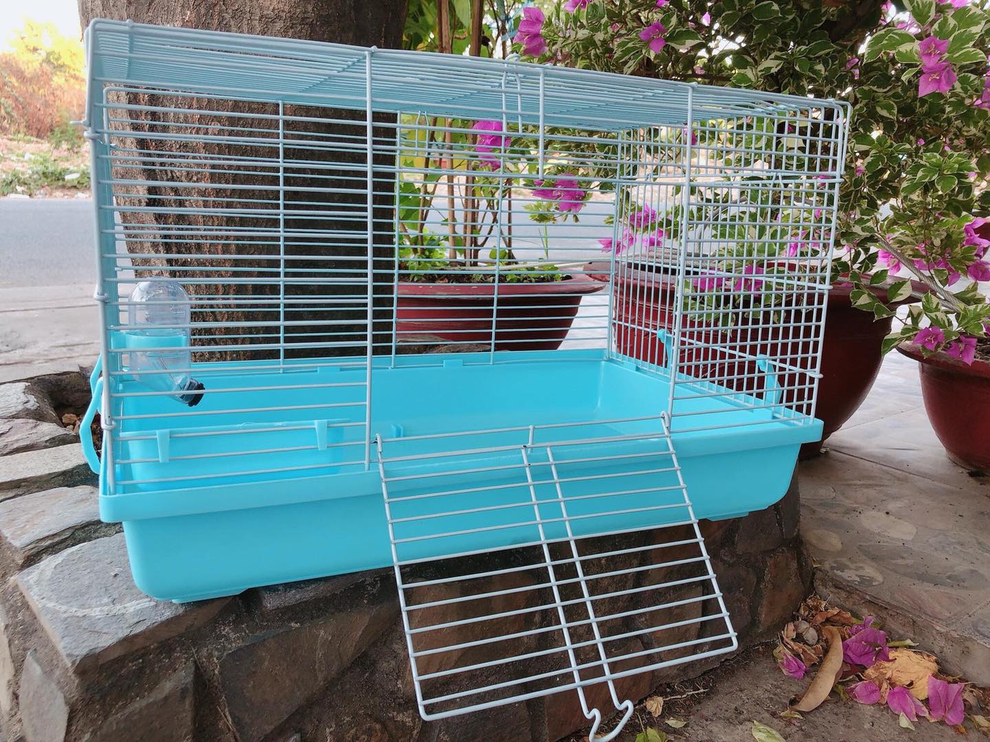 Lồng đại cho Hamster - Chất lượng sản phẩm đảm bảo an toàn, cam kết hàng đúng như mô tả