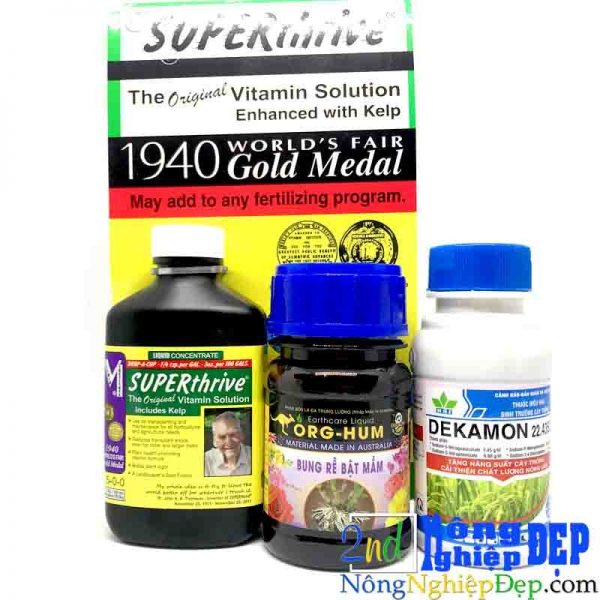 Bộ 3 Kích Rễ 2019 Của Thầy Tám Ngọc,  Kích Rễ Cho Cây chưa có rễ  ✅ Kích Rễ Cho Cây Trồng Lại  ✅ Kích Rễ Cho Cây Tách Chiếc  ✅ Kích rễ Cho Cây Mới mua về