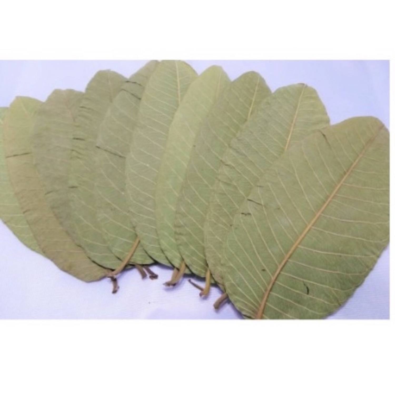 500gr Trà lá ổi khô thơm ngon chuân xịn