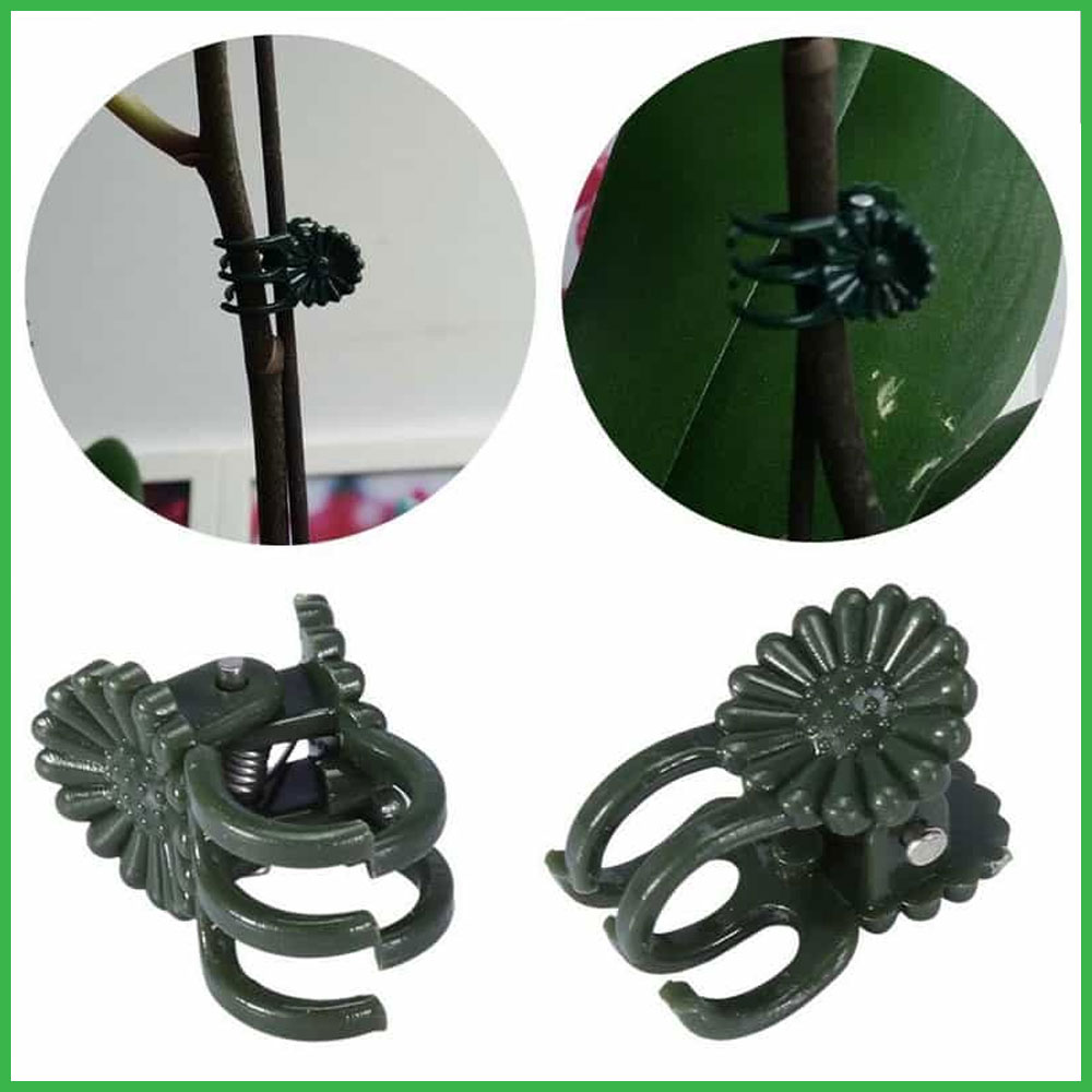Kẹp bướm cố định hoa lan bằng nhựa - 50 ái