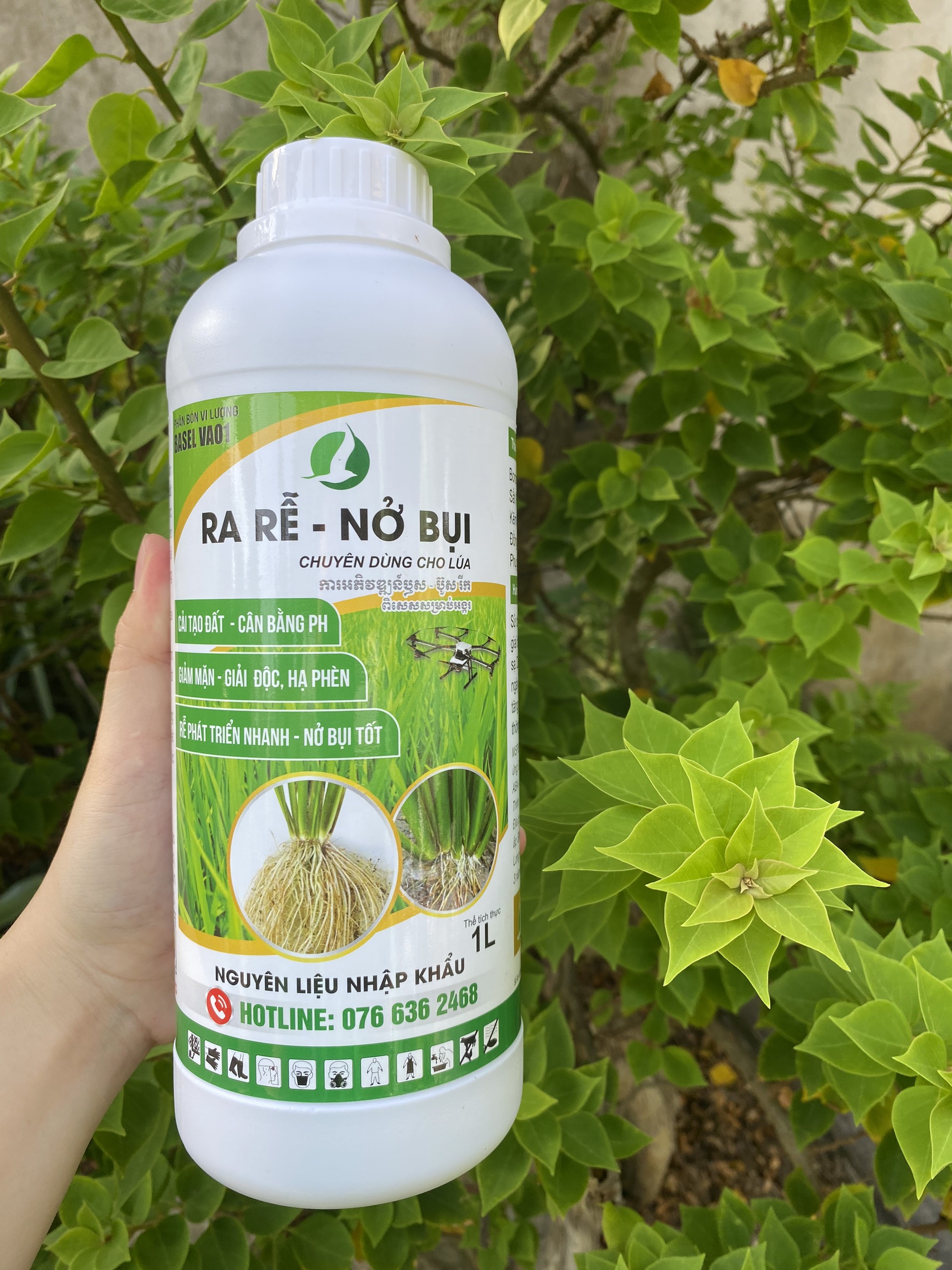 Ra rễ nở bụi lúa chai 1l