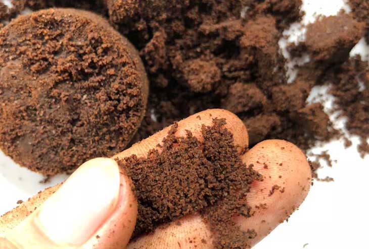 Bã cà phê tươi (500g)