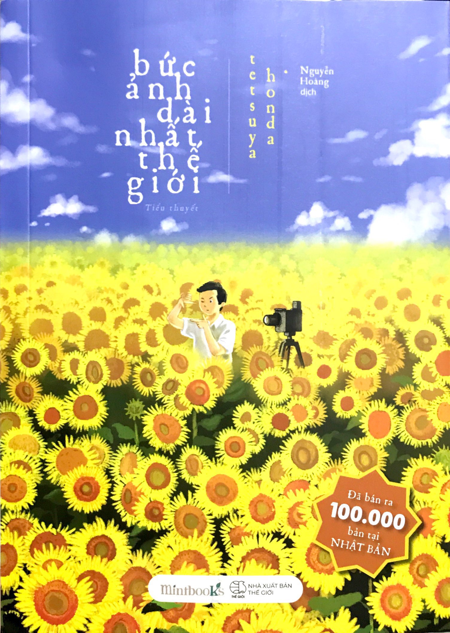 Kyoukai no Kanata/#1800238  Anime, Hoa hướng dương, Hình ảnh