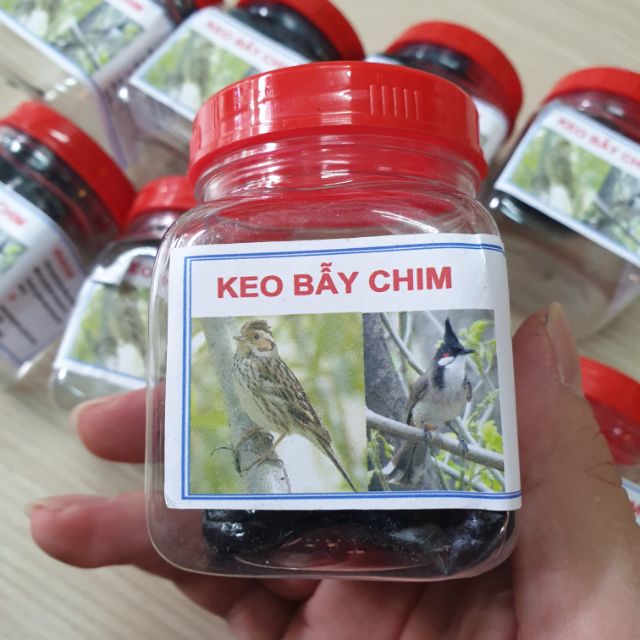 Keo Bẫy Chim Các Loại- keo bẫy chim sẻ , khuyên, chào mào