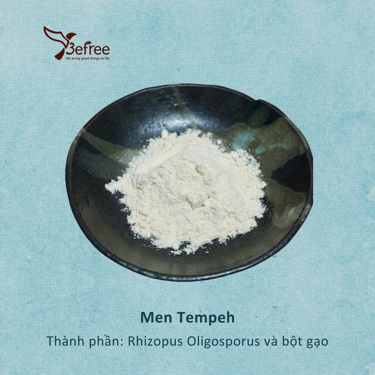 Men Làm Tempeh (Tempeh Starter) - Be Free - 50g
