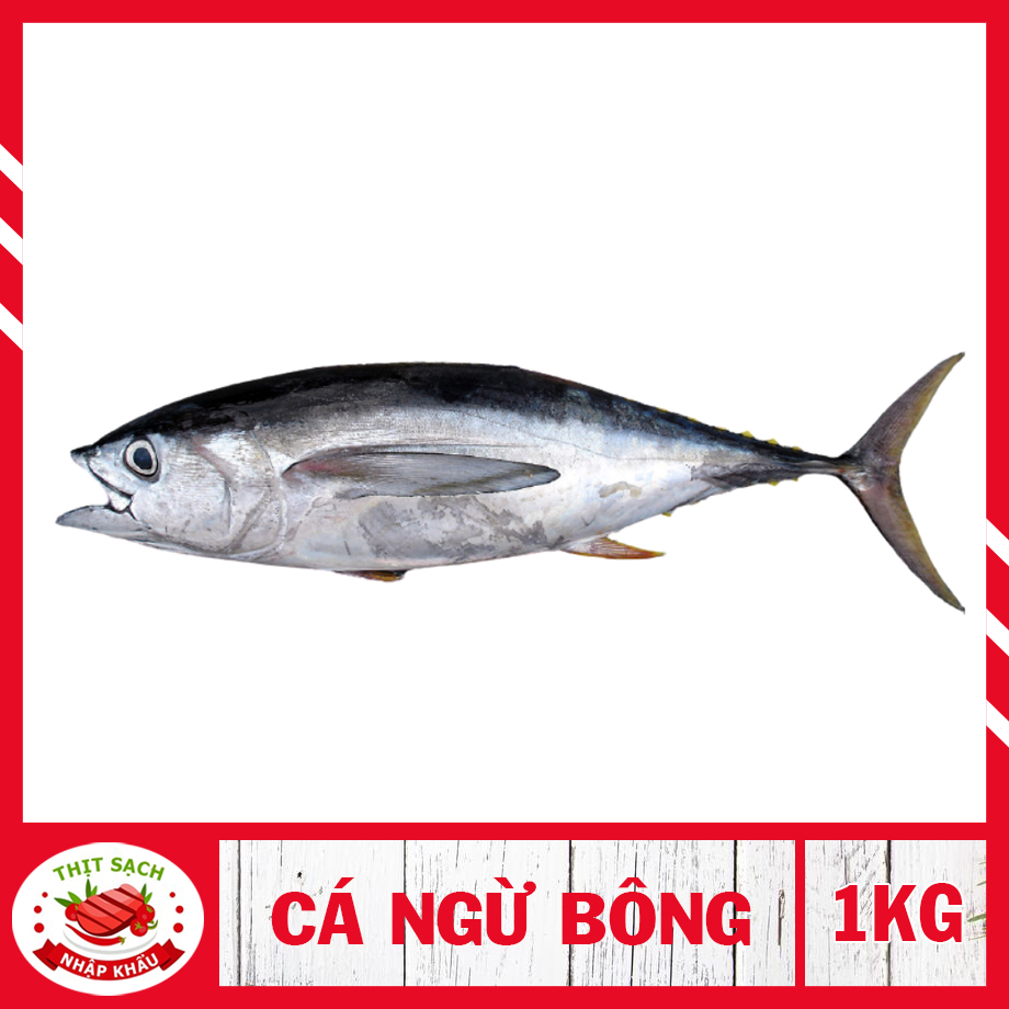 [  HỎA TỐC 2H - HCM ]  Cá ngừ bông - Cá ngừ hoa ( 1kg ) nguyên con thịt chắc , thơm ngon