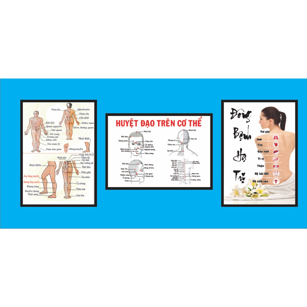 Tranh huyệt đạo tổng 3 tranh