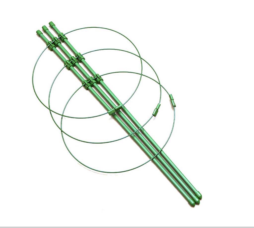 Khung đỡ hoa hồng, dây leo 45cm/60cm