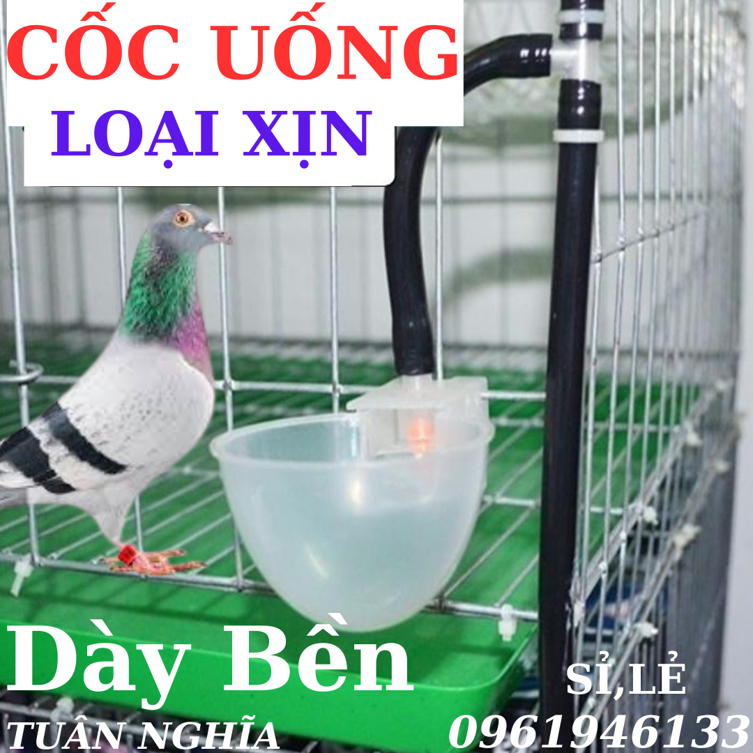Máng uống, cốc uống tự động cho chim bồ câu, chim cảnh loại xịn siêu bền