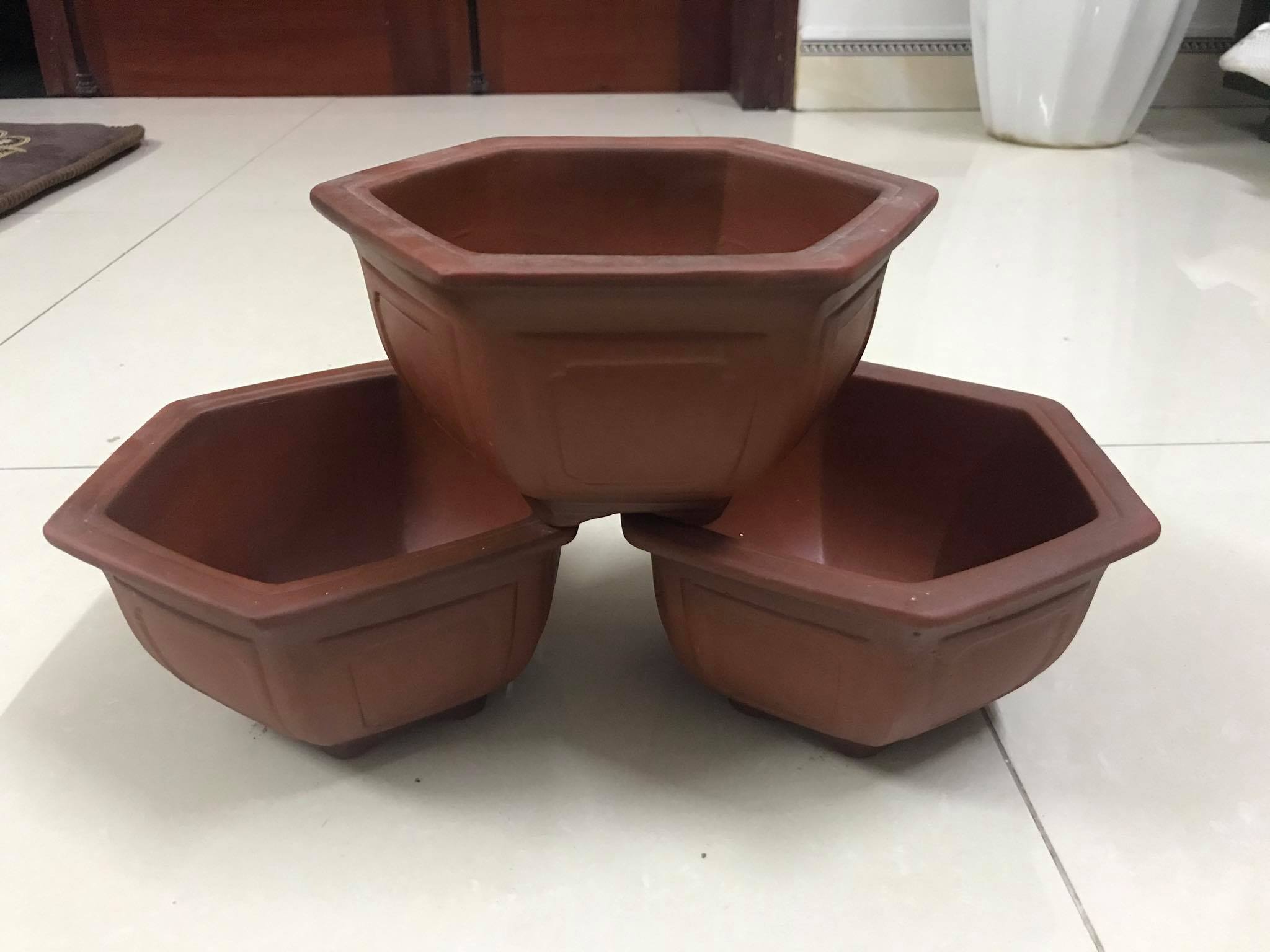 CHẬU MINI 02- LỤC GIÁC