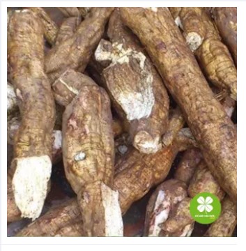 Cát căn 1kg - eg381