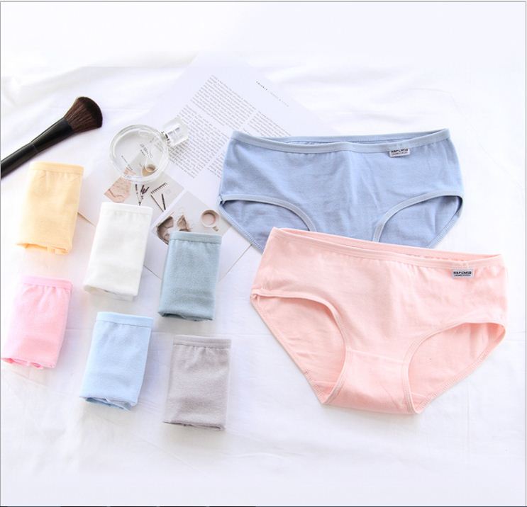 Quần chip nữ cotton kháng khuẩn thông hơi