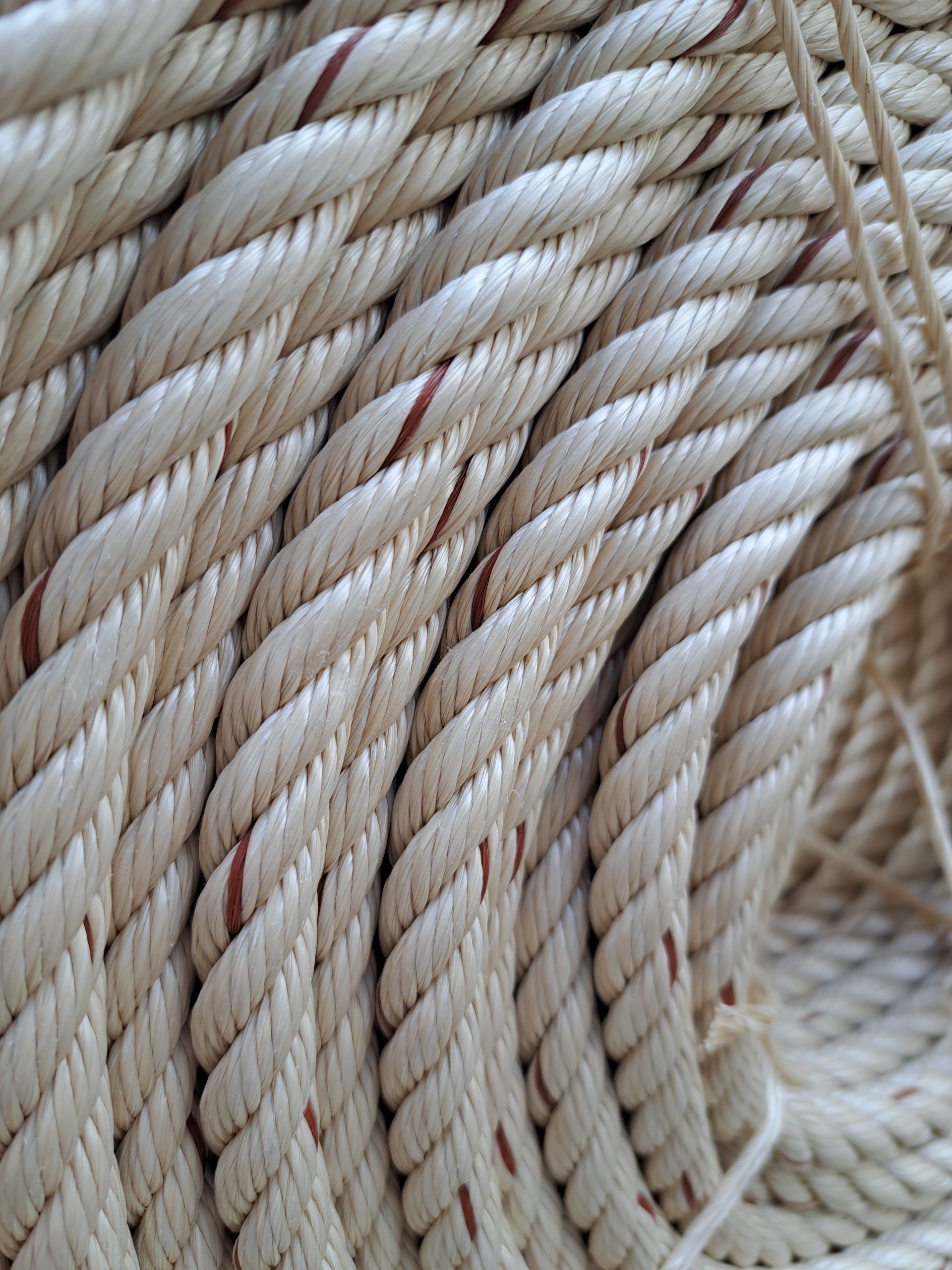 50 mét size 14mm dây thừng PP chịu lực, dây an toàn, dây thừng cứu sinh, dây xích đu phi 14mm (chịu nắng mưa)