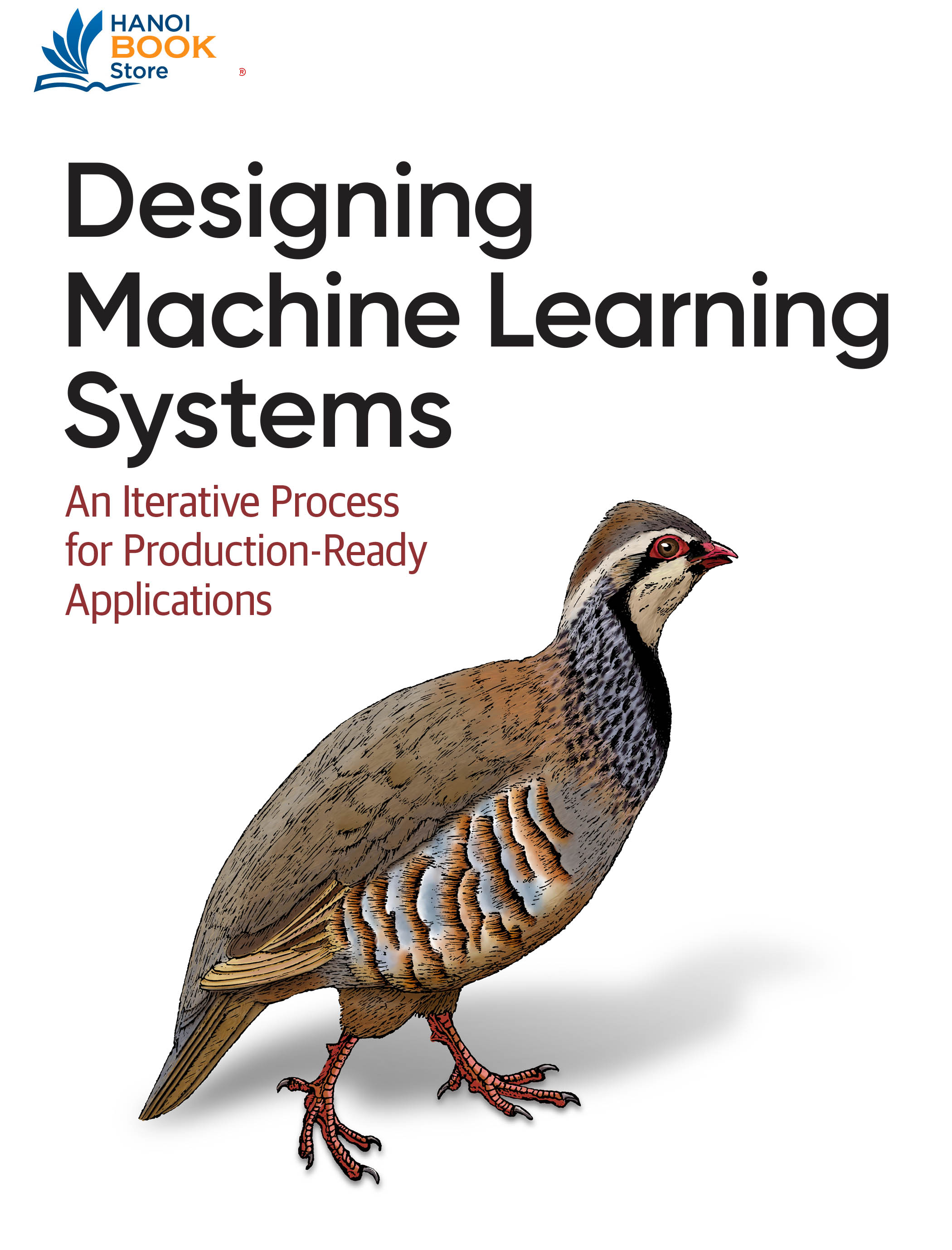 Designing Machine Learning Systems