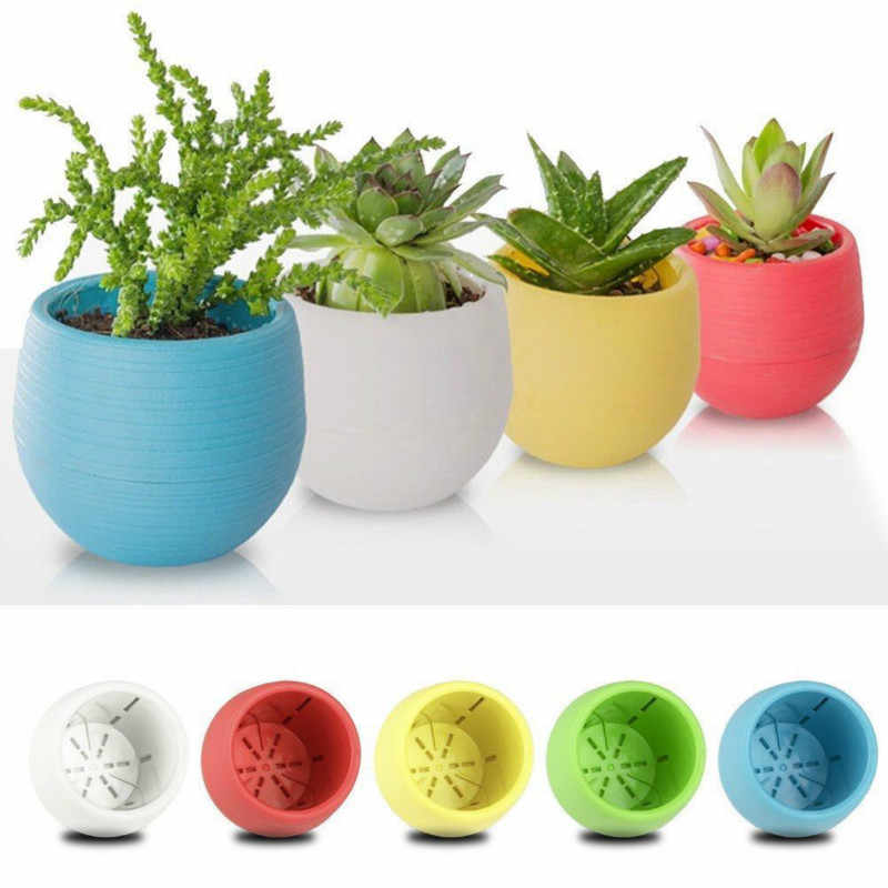 [HCM]Chậu cây mini nhiều màu sắc dùng trang trí văn phòng