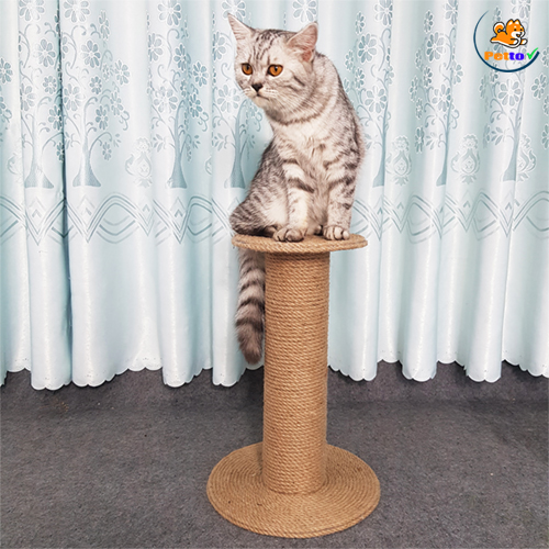 Trụ cào móng cho mèo giá rẻ hm008