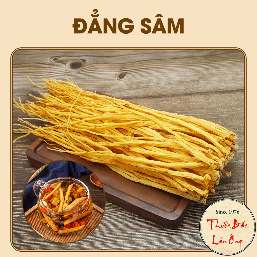 Đẳng sâm 100g, đảng sâm khô, sợi to, vàng, pha trà, sắc nước, tốt cho sức khỏe - Lãn Ông