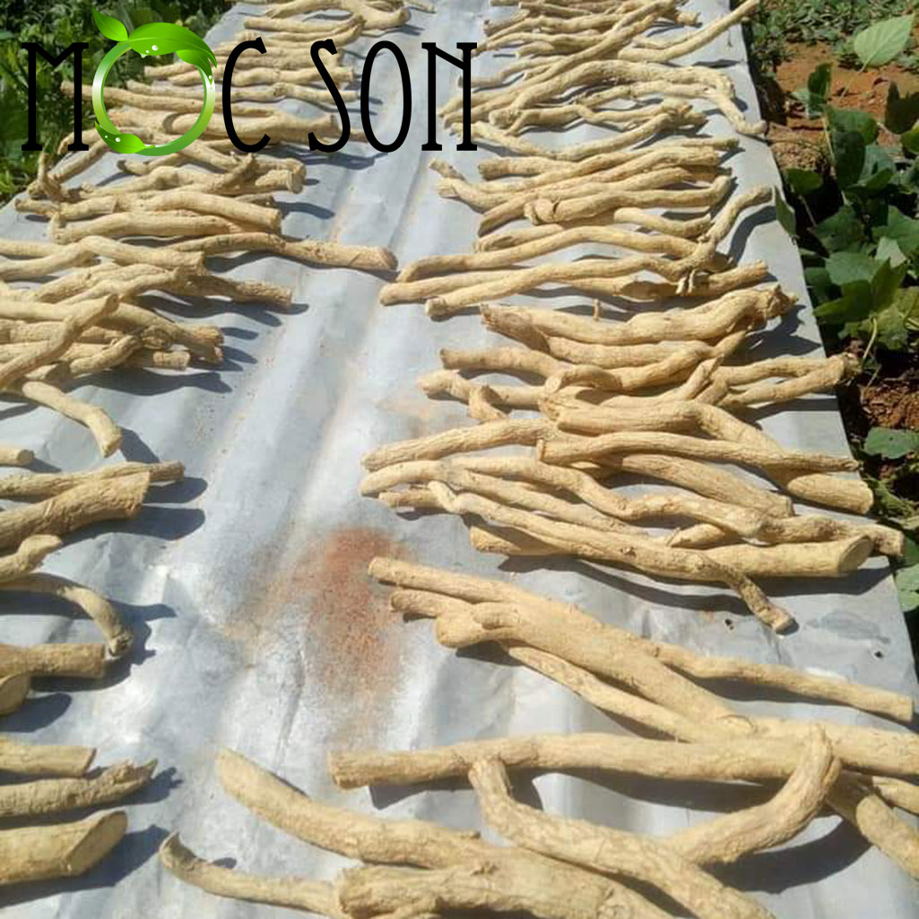 500g xáo tam phân mộc sơn hàng rừng lâu năm | hàng chuẩn đốt lớp vỏ thơm không bị khét