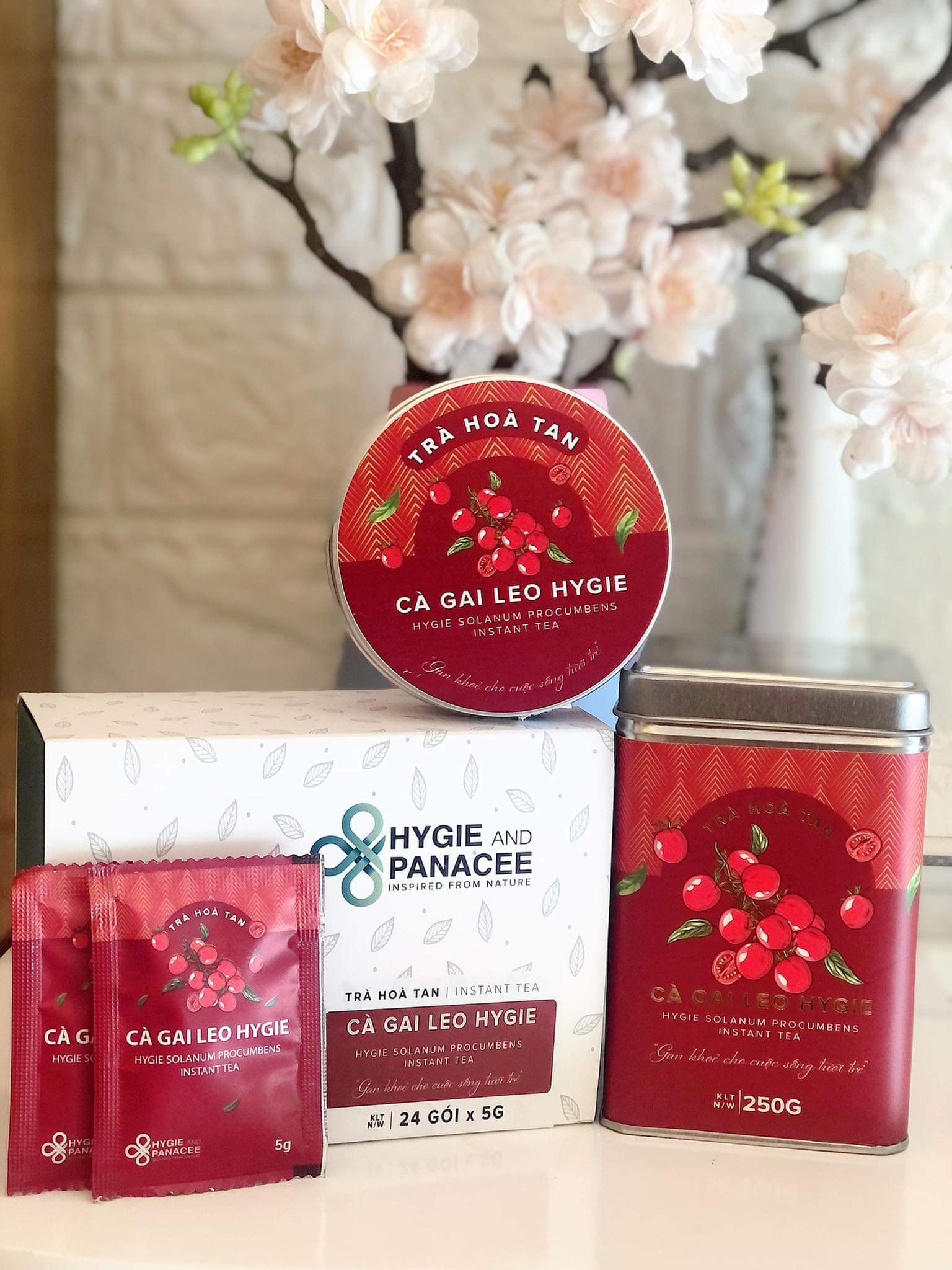 Trà cà gai leo hòa tan hỗ trợ giải rượu, hạ men gan Hygie & Panacee