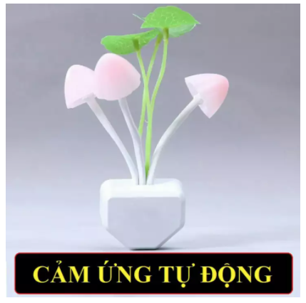 Đèn ngủ cảm ứng hình nấm