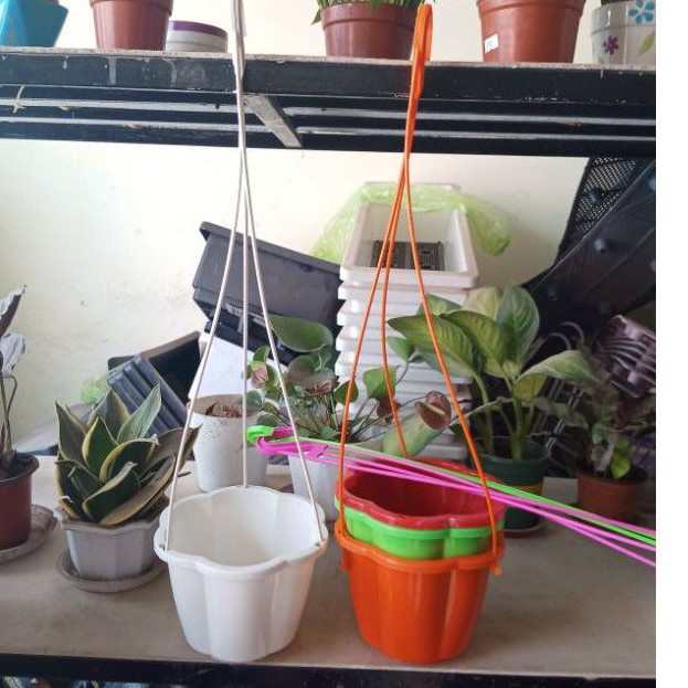 Chậu nhựa treo múi khế 17x13cm nhiều màu trồng hoa treo siêu đẹp