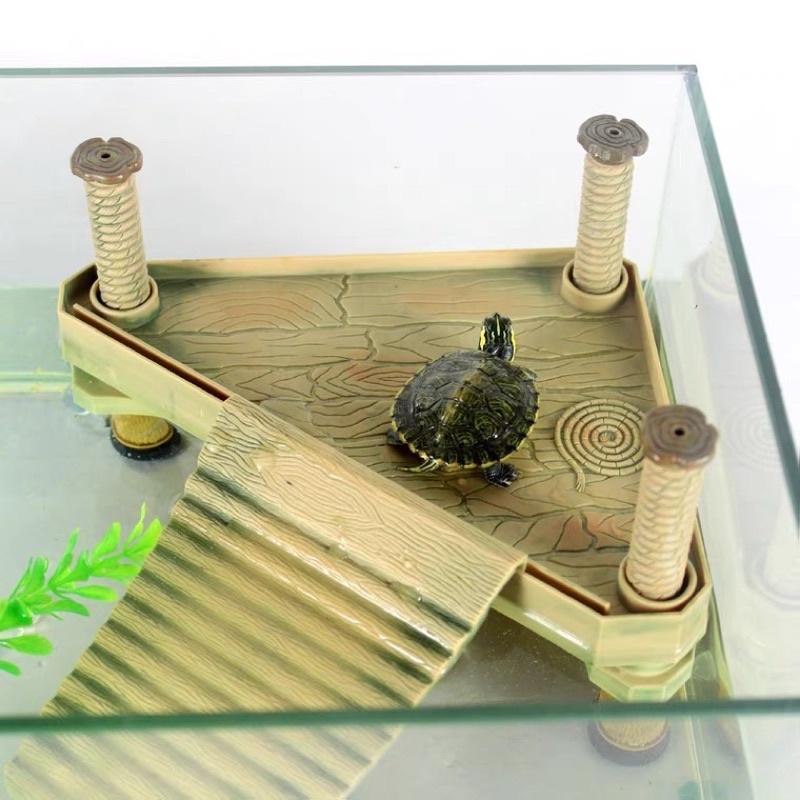 Máng leo phơi mình cho rùa dâng theo mực nước cỡ bé