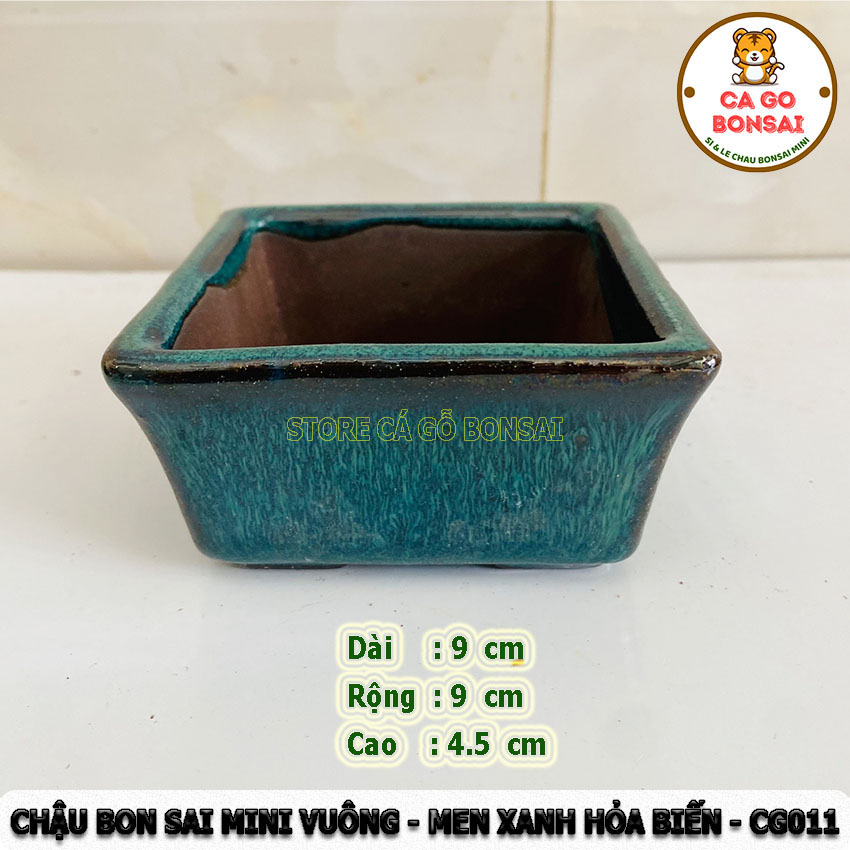 Chậu bonsai mini vuông men xanh hỏa biến - cg011