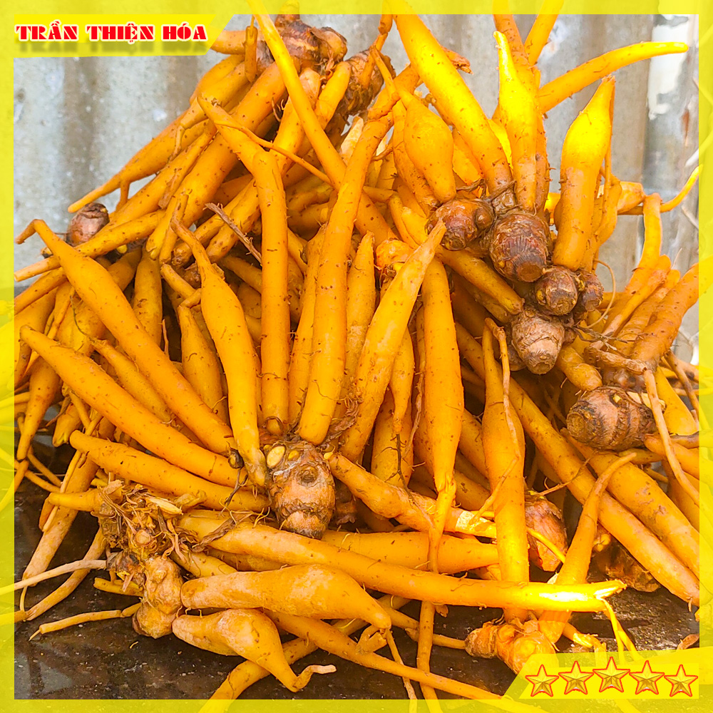 Gói [500gr] Củ Ngãi Bún Tươi Dùng Nấu Bún Cá, Bún Mắm Gia Vị Đặc Trưng Thơm Ngon