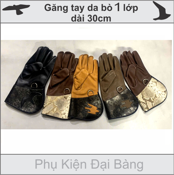 Găng tay da bò nuôi chim diều trắng