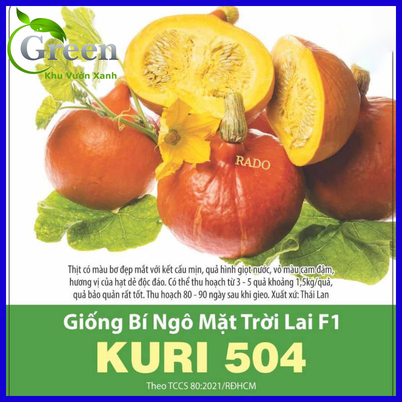 Hạt giống bí ngô mặt trời lai f1 thái lan