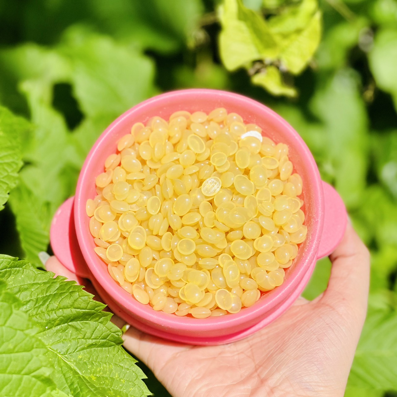 Sáp wax lông nóng nhập khẩu cao cấp siêu bám lông, sáp dừa coconut và trong suốt Hard Wax Beans